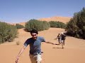 La fauna aut�ctona del desierto del Sahara!!