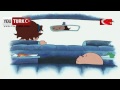 Caillou Türkce - Caillou nun Köpek Korkusu