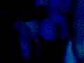 ixea-y-rakel-rue-13.html