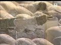 Taraweeh de la Mecque (9éme nuit)-Sheikh Muqaily-