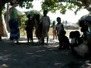 Suka canta com as crian�as