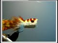 Trimming a deer hair bass bug-Part II