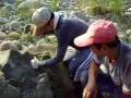 fossils,化石日記-1