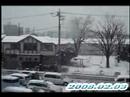 Tokyo Snow Tokyo Snow