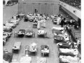 SurvivalMedicine #28 -- Pandemic