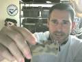 videos de SOG TRIDENT TF-5 DESERT CAMO FOLDING KNIFE
