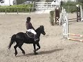 margot et docile en clp3 n°2