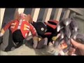 Sonic the Werehog- 