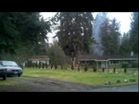 How Not To Chop Down A Tree
