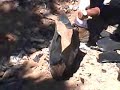 24\" Dance blade from 300# rock - part 2