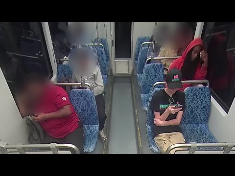 GRAPHIC : Video shows moments before, after deadly light rail stabbing