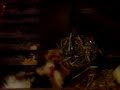 Meerschweinchen - Foodball-