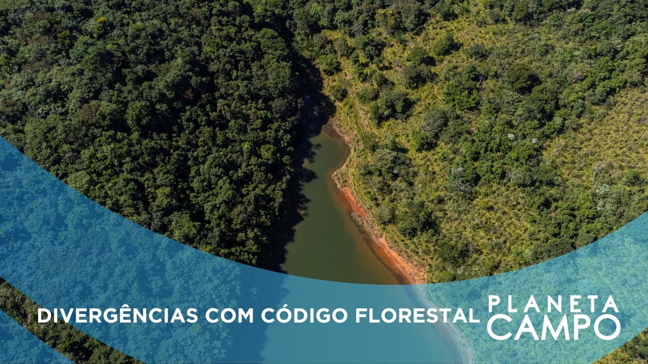 Moratória da Soja: o que muda com aprovação de PL em Mato Grosso?