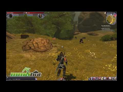 The Chronicles of Spellborn Screenshot 0