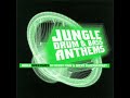 Tribe Of Issachar - Tribal Natty (Aphrodite Remix)