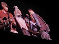 Coldplay - The Scientist [Acoustic] Summer Sonic Tokyo 2008
