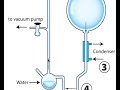 Origin of life found from 50-year-old samples
