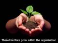 Employee Engagement