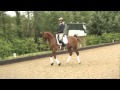 Olympics 2012 profile: Carl Hester dressage