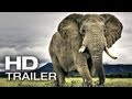 AFRICAN SAFARI 3D Trailer Deutsch German | 2013 Official Film [HD]