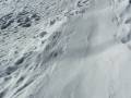 tracy's fun and funny view of sledding!!