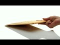 MacBook Air, Apple
