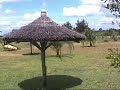 CHIMOIO-COMPLEXO SELVA-MO�AMBIQUE