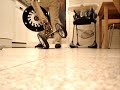 Testing one wheel balance