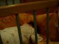 videos de bebe trebuie sa faca nan 2.MOV