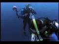 National Geographic Wild Chronicles   Whale Sharks