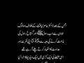 fatwa for amir liaquat