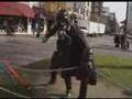 Wallace Girls Congratulatory RoadTrip Darth Vader Trailer