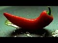 Clitoris