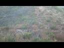 Heartbreak Hiking Fools on Lang Ranch Trail Heartbreak Hiking Fools on Lang Ranch Trail