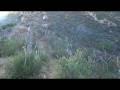 videos de Heartbreak Hiking Fools on Lang Ranch Trail