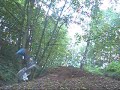 a day out in the woods