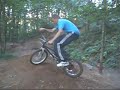 a day out in the woods