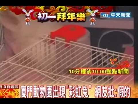 YouTube Preview Image