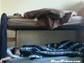 Annoying Roomate