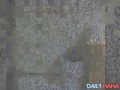 funny cat chases laser pen left, right and center