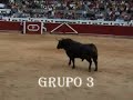 Concurso de recortes tolosa