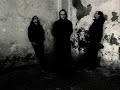 El Viaje - Sal y Mileto