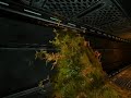Natural Selection 2