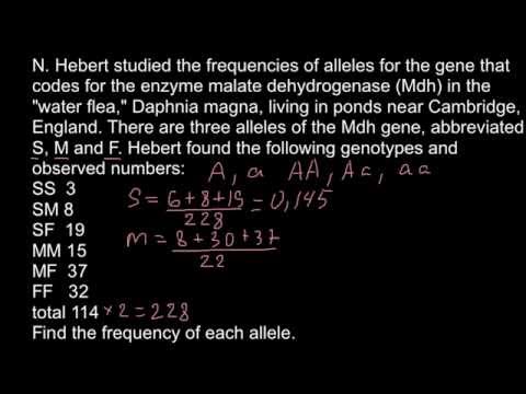 how to determine frequency