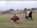 Caballo de Paso