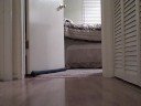 Pan Pesting Mysti - Part 2 Pan Pesting Mysti - Part 2