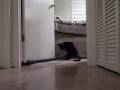Pan Pesting Mysti - Part 2