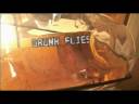 Behind The Scenes - Enslaved \ Behind The Scenes - Enslaved \
