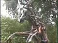 Yacurupaj Yacurupaj