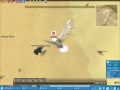 Mabinogi - best eagle/pelican fighting tecniqe ever